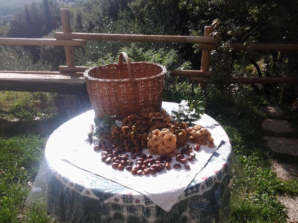 Bed And Breakfast Al Posto Bello Perugia Eksteriør bilde